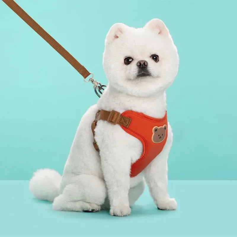 Dog/Cat Harness and Leash Set For Small and Medium Pets