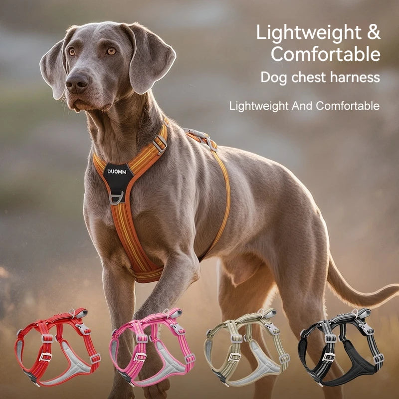 Reflective Adjustable Dog Harness & Leash Set – Soft No-Pull Pet Walking Vest for Small, Medium & Large Dogs