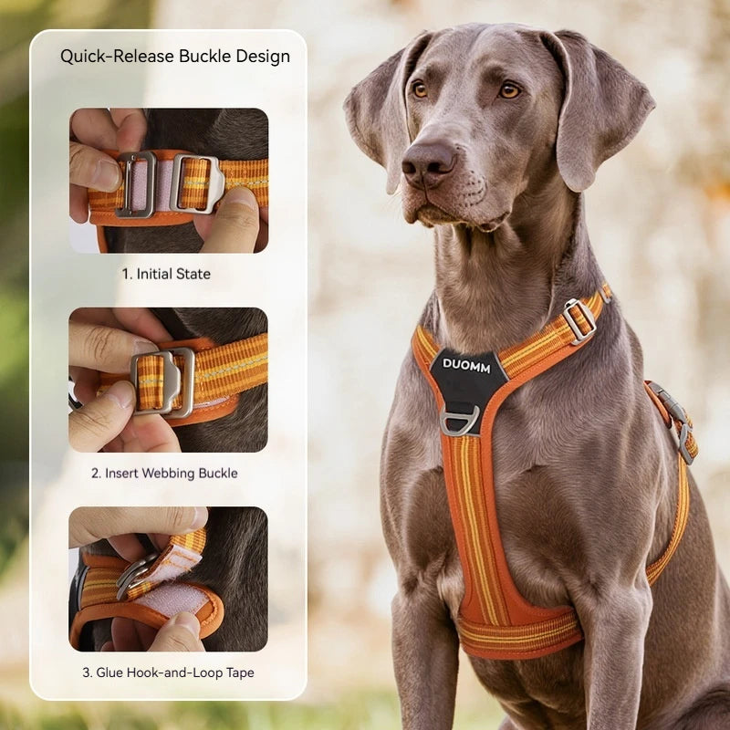 Reflective Adjustable Dog Harness & Leash Set – Soft No-Pull Pet Walking Vest for Small, Medium & Large Dogs