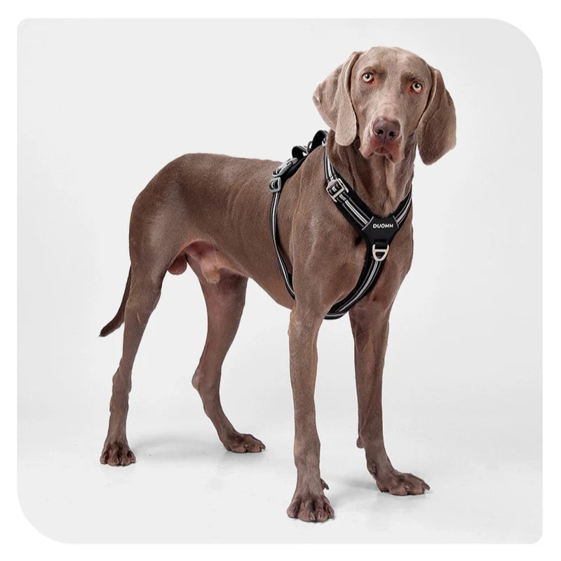 Reflective Adjustable Dog Harness & Leash Set – Soft No-Pull Pet Walking Vest for Small, Medium & Large Dogs