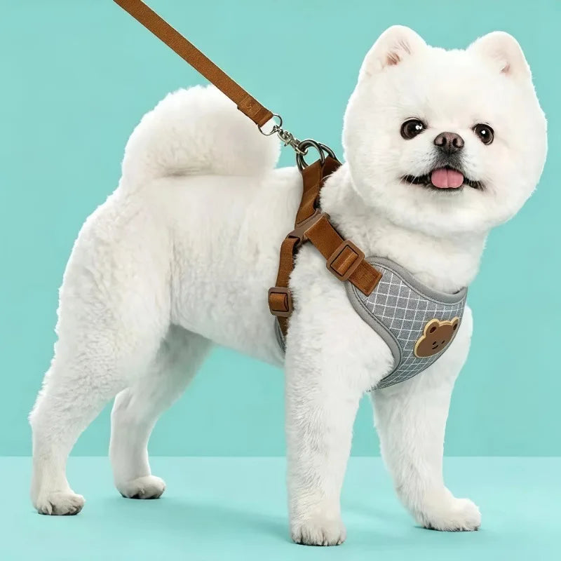 Dog/Cat Harness and Leash Set For Small and Medium Pets