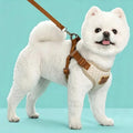 Dog/Cat Harness and Leash Set For Small and Medium Pets